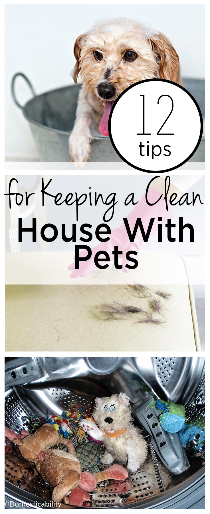 12 Tips for Keeping a Clean House With Pets Wrapped in Rust