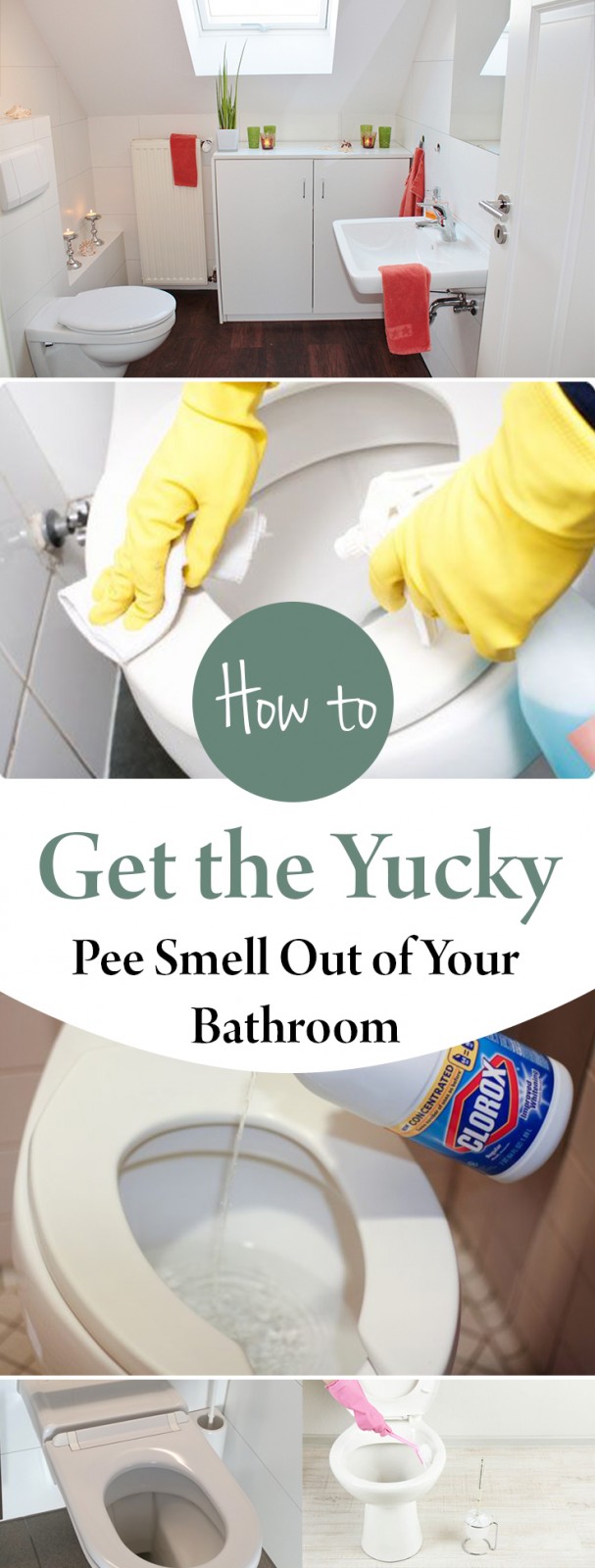 How To Get The Pee Smell Out Of Your Bathroom Steps, Hack