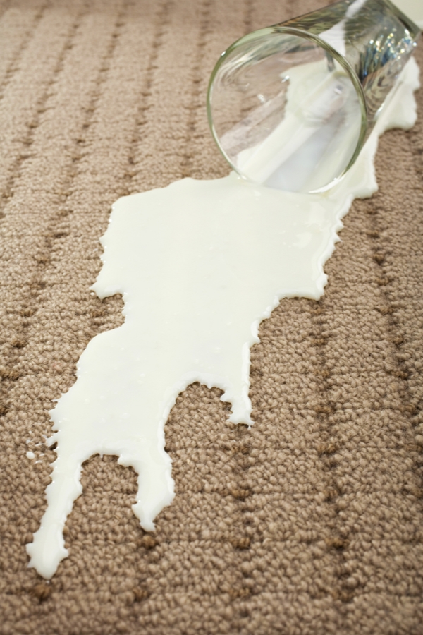 Spilled Milk on Carpet