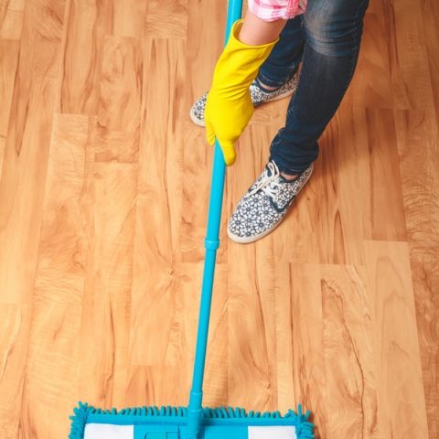 Go All Natural 5 Natural Toilet Bowl Cleaning Recipes Wrapped