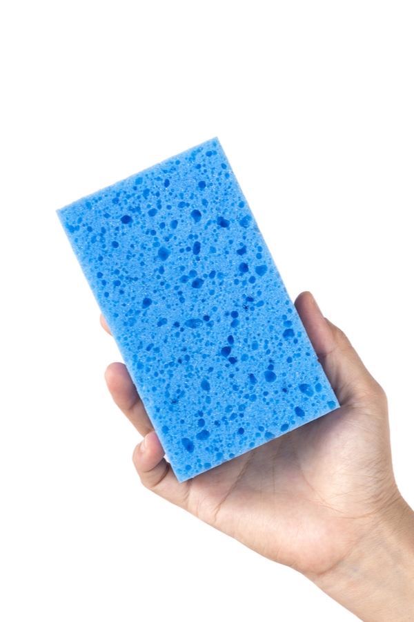 Household Items that harbor bacteria
