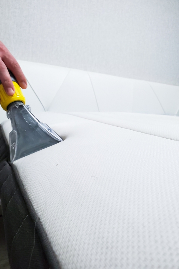 Spring is here and with everyone staying home, we may as well look at the bright side. Because spring cleaning tips are here to help you take advantage of the extra time you may have! Get ready to spring clean your car, your mattress, and anything else that needs it. You'll thank me later.